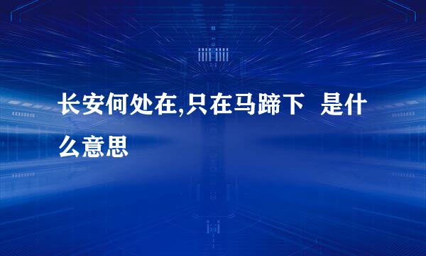 长安何处在,只在马蹄下  是什么意思