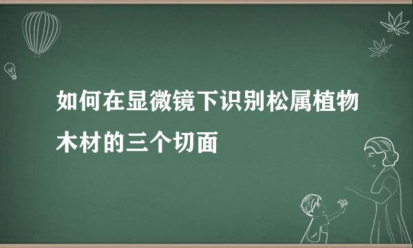如何在显微镜下识别松属植物木材的三个切面