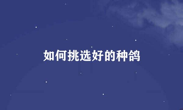 如何挑选好的种鸽