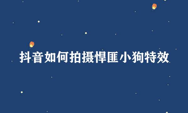 抖音如何拍摄悍匪小狗特效