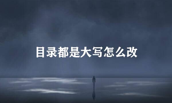 目录都是大写怎么改