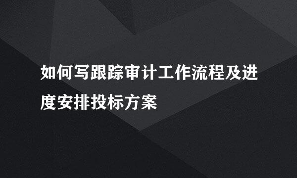 如何写跟踪审计工作流程及进度安排投标方案