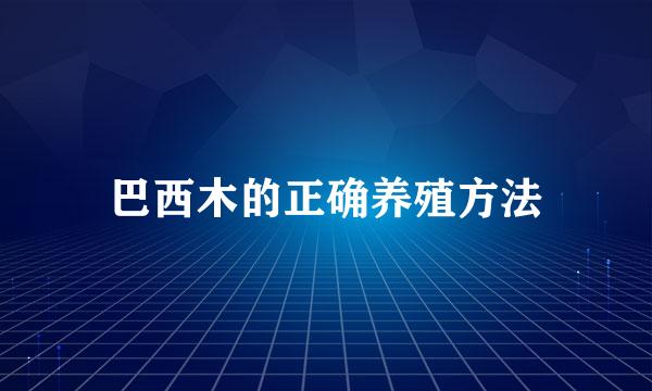 巴西木的正确养殖方法
