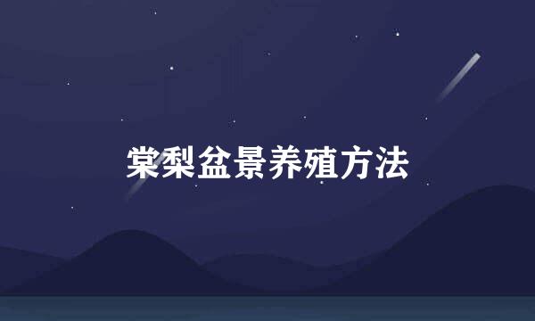 棠梨盆景养殖方法