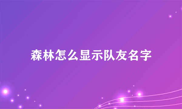 森林怎么显示队友名字