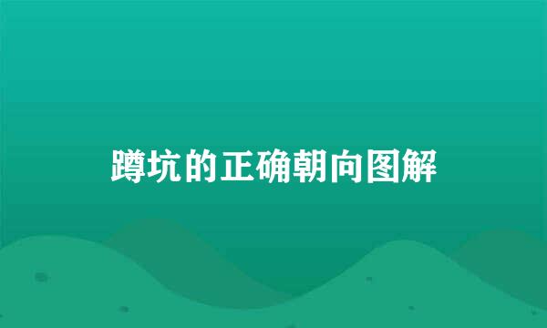 蹲坑的正确朝向图解