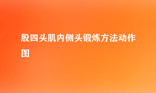 股四头肌内侧头锻炼方法动作图