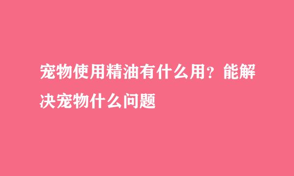 宠物使用精油有什么用？能解决宠物什么问题