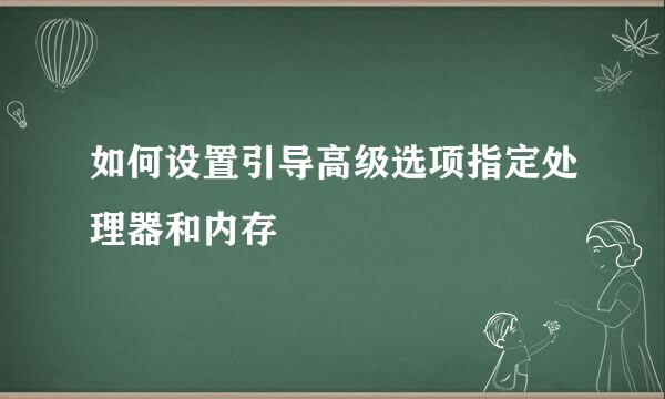如何设置引导高级选项指定处理器和内存