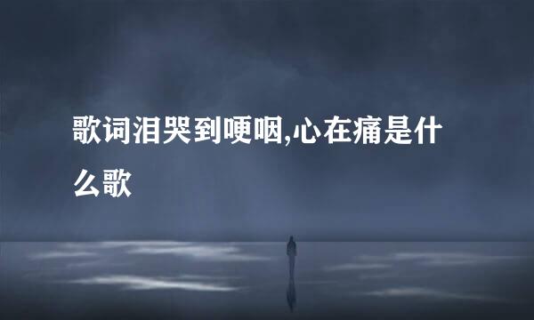 歌词泪哭到哽咽,心在痛是什么歌