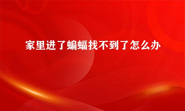 家里进了蝙蝠找不到了怎么办