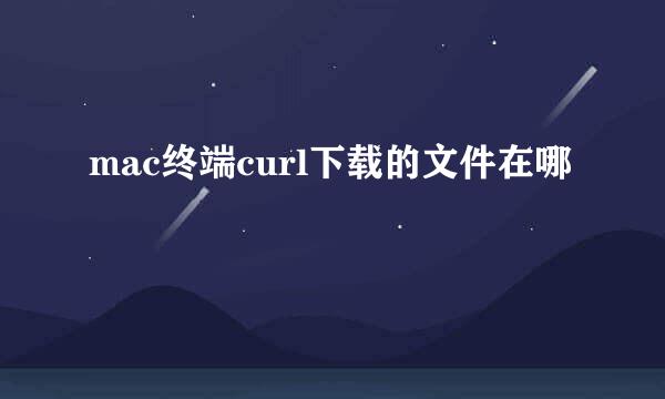 mac终端curl下载的文件在哪