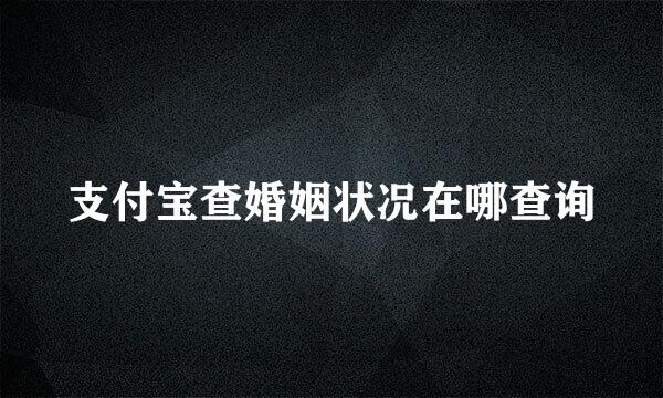 支付宝查婚姻状况在哪查询