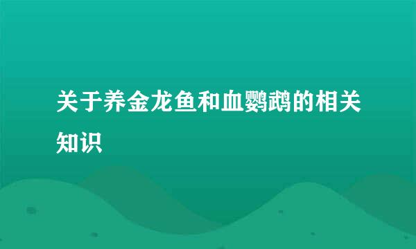 关于养金龙鱼和血鹦鹉的相关知识