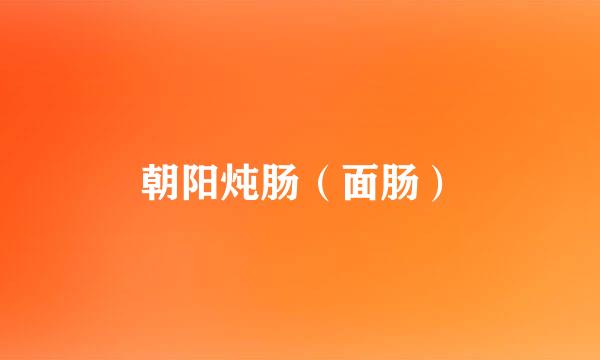 朝阳炖肠（面肠）