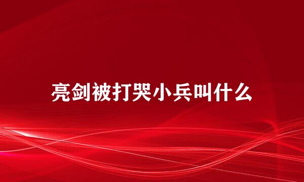 亮剑被打哭小兵叫什么