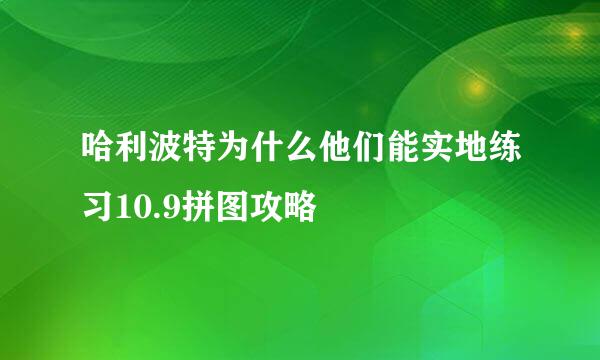 哈利波特为什么他们能实地练习10.9拼图攻略