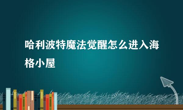 哈利波特魔法觉醒怎么进入海格小屋