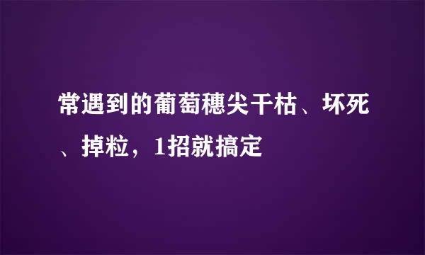 常遇到的葡萄穗尖干枯、坏死、掉粒,1招就搞定