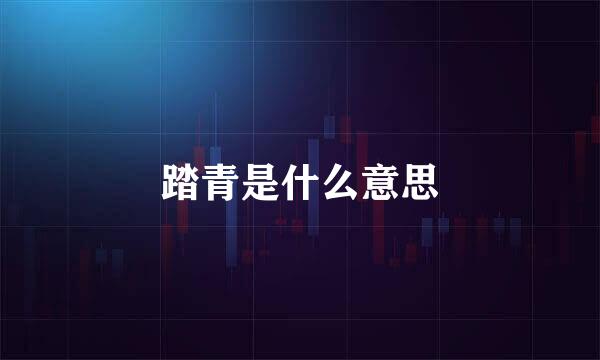 踏青是什么意思