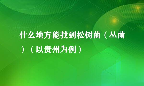 什么地方能找到松树菌（丛菌）（以贵州为例）