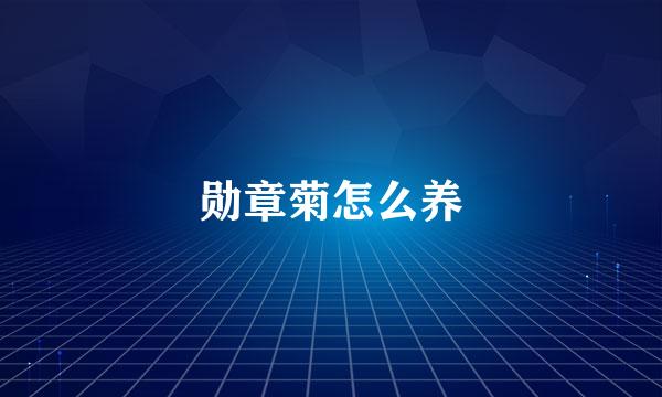 勋章菊怎么养
