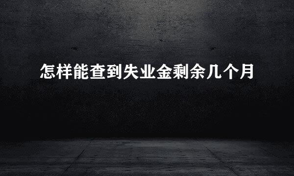 怎样能查到失业金剩余几个月