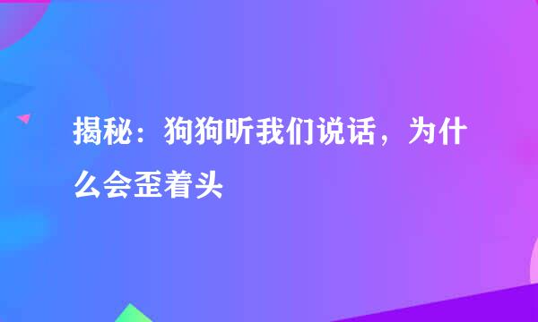 揭秘：狗狗听我们说话，为什么会歪着头