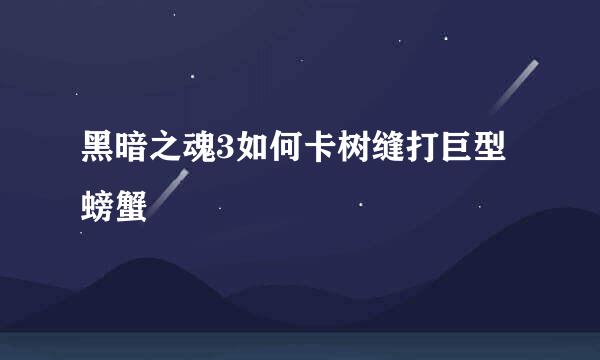 黑暗之魂3如何卡树缝打巨型螃蟹