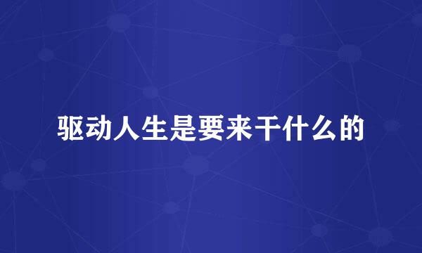 驱动人生是要来干什么的