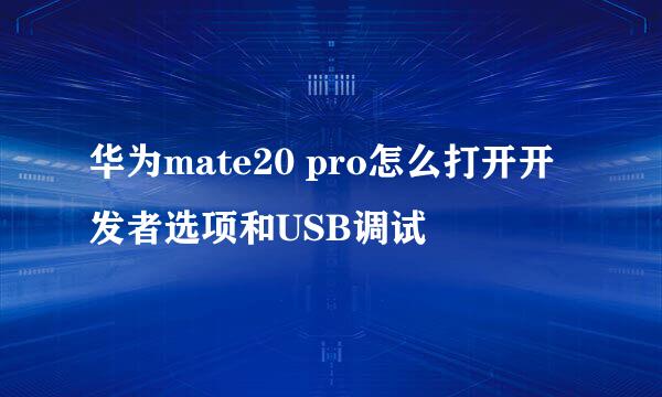 华为mate20 pro怎么打开开发者选项和USB调试
