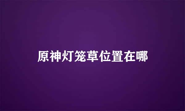 原神灯笼草位置在哪