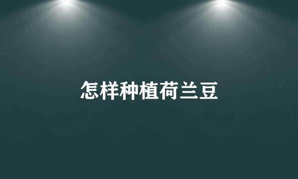 怎样种植荷兰豆