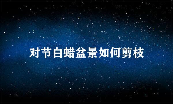 对节白蜡盆景如何剪枝