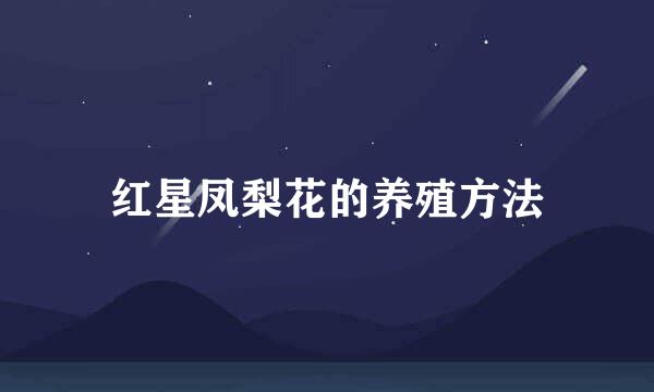 红星凤梨花的养殖方法
