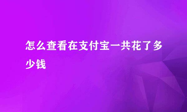怎么查看在支付宝一共花了多少钱