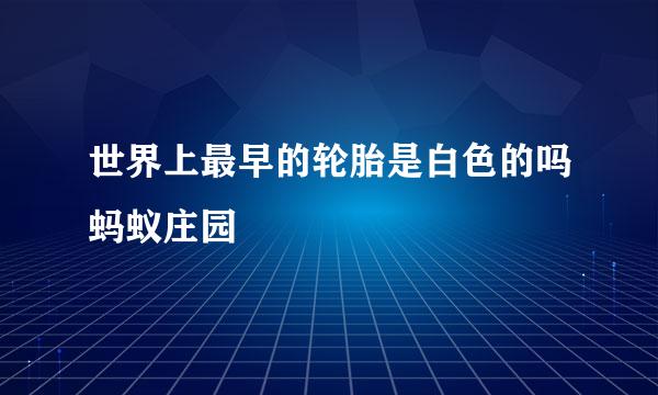 世界上最早的轮胎是白色的吗蚂蚁庄园