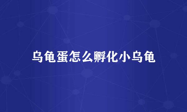乌龟蛋怎么孵化小乌龟