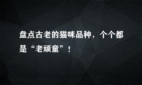 盘点古老的猫咪品种，个个都是“老顽童”！