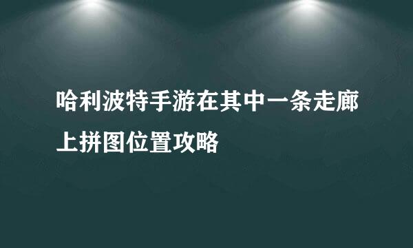 哈利波特手游在其中一条走廊上拼图位置攻略