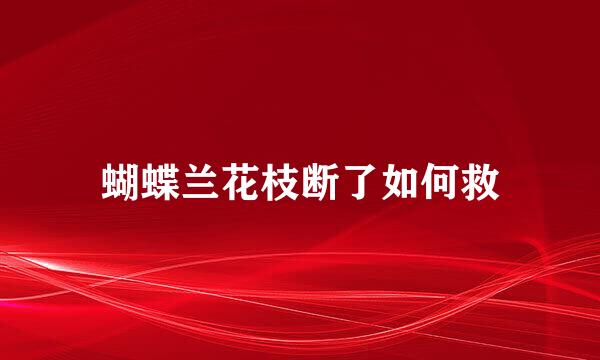 蝴蝶兰花枝断了如何救