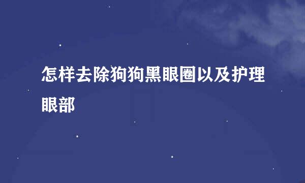 怎样去除狗狗黑眼圈以及护理眼部