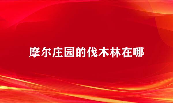 摩尔庄园的伐木林在哪