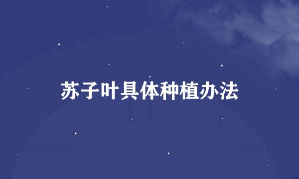 苏子叶具体种植办法