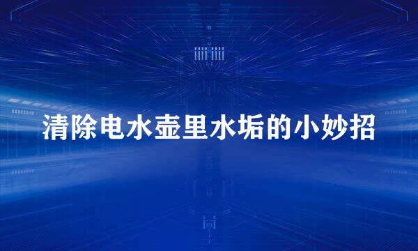 清除电水壶里水垢的小妙招