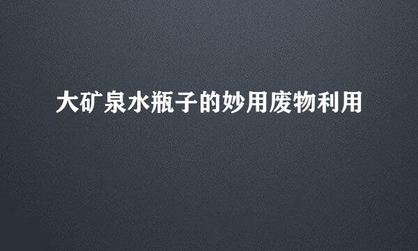 大矿泉水瓶子的妙用废物利用