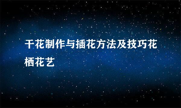 干花制作与插花方法及技巧花栖花艺