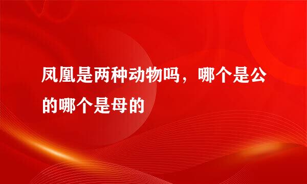 凤凰是两种动物吗，哪个是公的哪个是母的