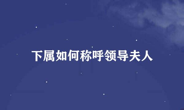 下属如何称呼领导夫人
