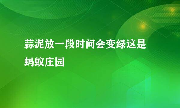 蒜泥放一段时间会变绿这是 蚂蚁庄园